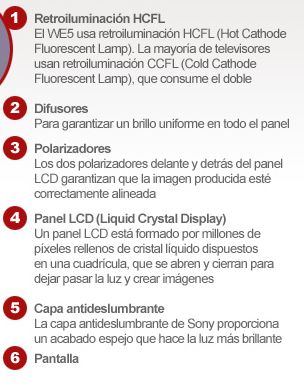 Sony-LCD-2