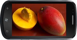 Microsoft presentará 'smartphones' con Mango en las próximas semanas