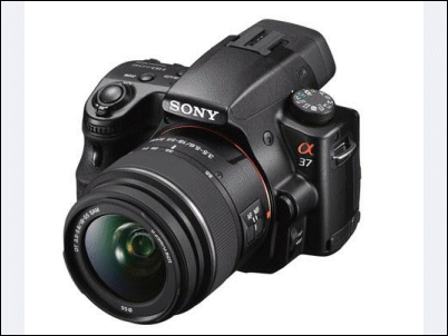 cámara α37 de Sony con pantalla LCD inclinable, rápido AF continuo constante, ráfaga de 7fps y vídeo Full HD
