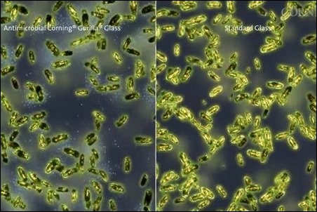 pantalla-antibacterias-corning