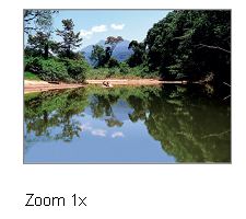 zoom-1