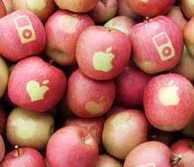 Agricultor japonés lanza manzanas "apple" al mercado
