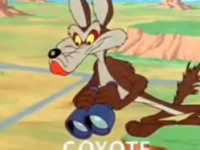 coyote correcaminos