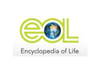 La Enciclopedia de la Vida alcanza 150.000 páginas en su segundo aniversario