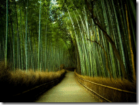 Dell se pasa al verde con envoltorios de bambú