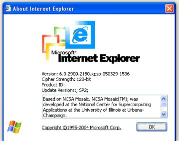 Microsoft pide a sus usuarios que dejen de utilizar Explorer 6