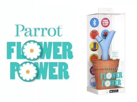 parrot-flower-power